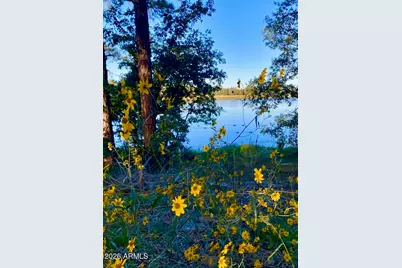 764 W Cooley Lane #69, Lakeside, AZ 85929 - Photo 38