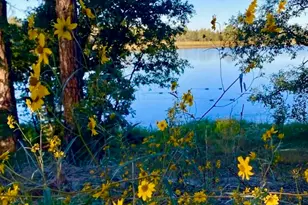 764 W Cooley Ln, Lakeside, AZ 85929 - Photo 38