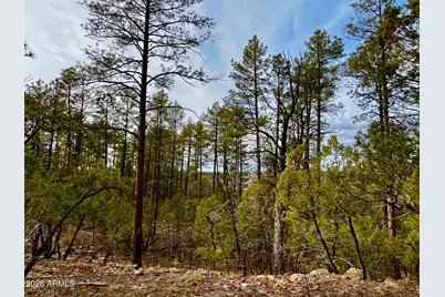 764 W Cooley Lane #69, Lakeside, AZ 85929 - Photo 32