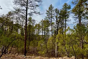 764 W Cooley Ln, Lakeside, AZ 85929 - Photo 32