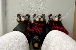 764 W Cooley Ln, Lakeside, AZ 85929 - Photo 22