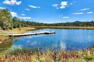 764 W Cooley Ln, Lakeside, AZ 85929 - Photo 36