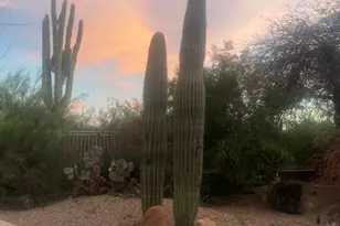 4439 E Red Range Way, Cave Creek, AZ 85331 - Photo 32