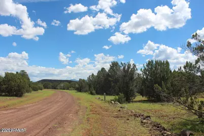 29 Co Rd 3199 -- #-, Vernon, AZ 85940 - Photo 2