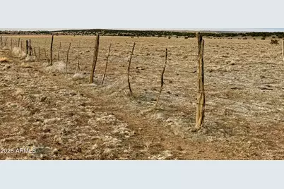 Tbd Co Rd N5209 36.3Acres -- #-, Concho, AZ 85924 - Photo 20
