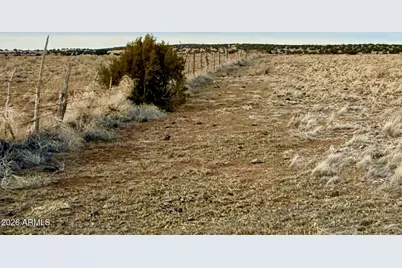 Tbd Co Rd N5209 36.3Acres -- #-, Concho, AZ 85924 - Photo 14