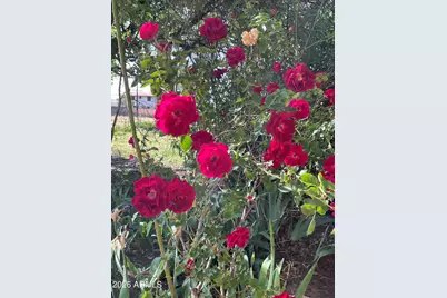 547 N Montezuma Castle Highway, Camp Verde, AZ 86322 - Photo 48