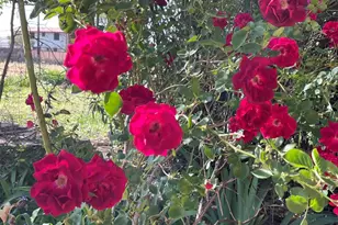 547 N Montezuma Castle Hwy, Camp Verde, AZ 86322 - Photo 48