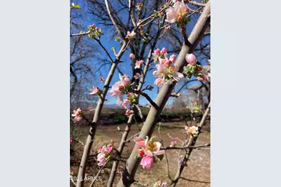 547 N Montezuma Castle Highway, Camp Verde, AZ 86322 - Photo 44