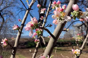 547 N Montezuma Castle Hwy, Camp Verde, AZ 86322 - Photo 44