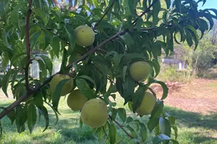 547 N Montezuma Castle Hwy, Camp Verde, AZ 86322 - Photo 28