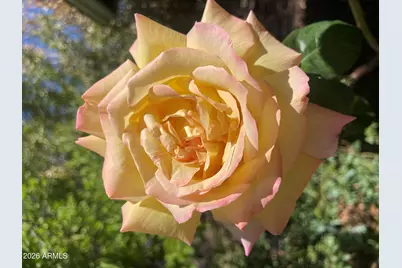 547 N Montezuma Castle Highway, Camp Verde, AZ 86322 - Photo 46