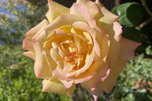 547 N Montezuma Castle Hwy, Camp Verde, AZ 86322 - Photo 46