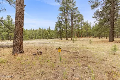 2175 S Eagle Creek Lane, Williams, AZ 86046 - Photo 4