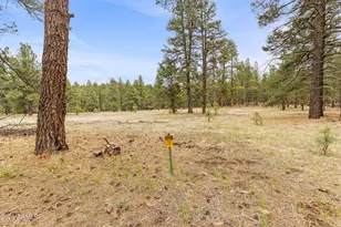 2175 S Eagle Creek Ln, Williams, AZ 86046 - Photo 4