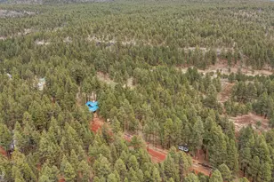2175 S Eagle Creek Ln, Williams, AZ 86046 - Photo 44