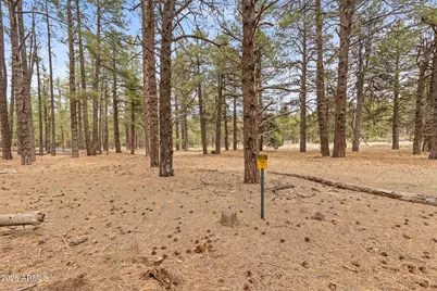 2175 S Eagle Creek Lane, Williams, AZ 86046 - Photo 32