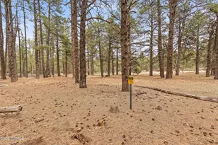 2175 S Eagle Creek Ln, Williams, AZ 86046 - Photo 32