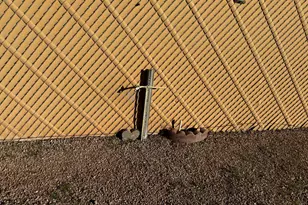 1589 S Delaware Dr, Apache Junction, AZ 85120 - Photo 6