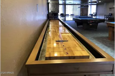 25820 S Texas Court, Sun Lakes, AZ 85248 - Photo 42