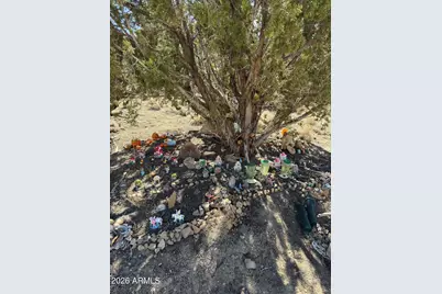 310 N County Road 6726 -- #430, Saint Johns, AZ 85936 - Photo 16
