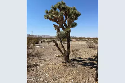 Xxxxxx N Diane Road #301, Dolan Springs, AZ 86441 - Photo 2