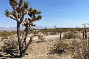 Xxxxxx N Diane Rd, Dolan Springs, AZ 86441 - Photo 1