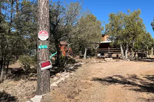 691 N Pyle Ranch Rd, Payson, AZ 85541 - Photo 42