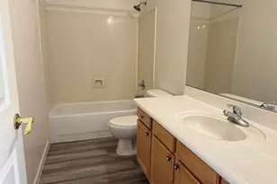 13313 W Rovey Ave, Litchfield Park, AZ 85340 - Photo 12