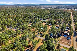 2169 Forest Park Dr, Overgaard, AZ 85933 - Photo 32