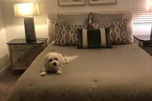 1784 S Senate St, Chandler, AZ 85286 - Photo 8