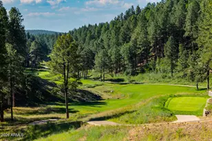 1313 Godfrey Sykes, Flagstaff, AZ 86005 - Photo 40