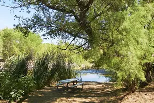 29015 N 168th St, Rio Verde, AZ 85263 - Photo 60