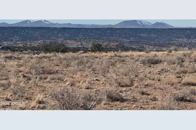 Lot 137 River Springs Ranch -- #137, Saint Johns, AZ 85936 - Photo 4