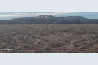 Lot 138 River Springs Ranch -- #138, Saint Johns, AZ 85936 - Photo 6