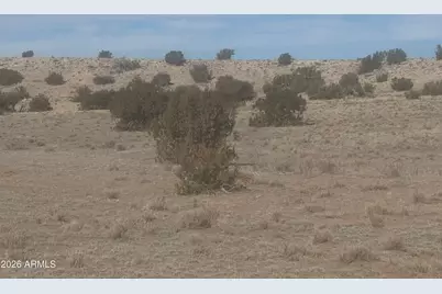 Lot 138 River Springs Ranch -- #138, Saint Johns, AZ 85936 - Photo 2