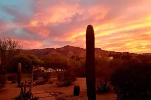 10653 E Sleepy Hollow Trail, Gold Canyon, AZ 85118 - Photo 4