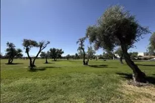 4139 N 27th St, Phoenix, AZ 85016 - Photo 28