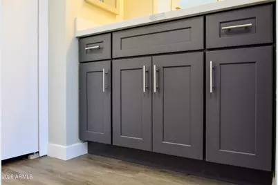 2529 N Doral Circle, Mesa, AZ 85215 - Photo 106