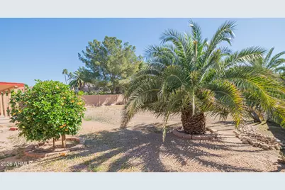 10949 N 111th Street, Scottsdale, AZ 85259 - Photo 6