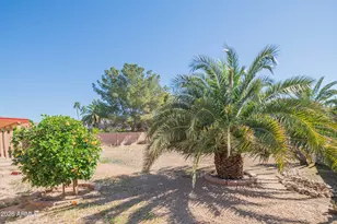 10949 N 111th St, Scottsdale, AZ 85259 - Photo 6