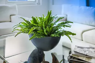 1695 E Monterey St, Chandler, AZ 85225 - Photo 14