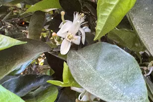 7660 E Highland Ave, Scottsdale, AZ 85251 - Photo 52