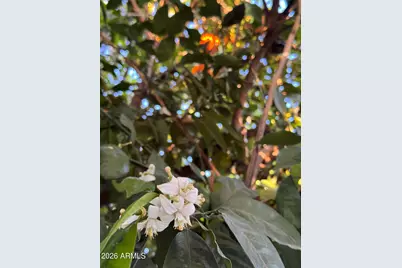 7660 E Highland Avenue, Scottsdale, AZ 85251 - Photo 60