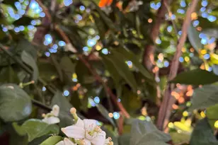 7660 E Highland Ave, Scottsdale, AZ 85251 - Photo 60