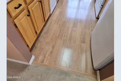 14950 W Mountain View Boulevard #4211, Surprise, AZ 85374 - Photo 2