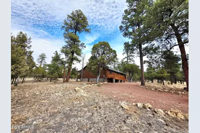3052 Durango Drive, Happy Jack, AZ 86024 - Photo 2