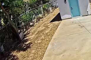 2002 W Adams St, Phoenix, AZ 85009 - Photo 58