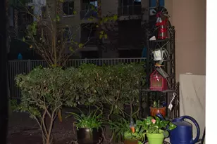 1701 E Colter St, Phoenix, AZ 85016 - Photo 12