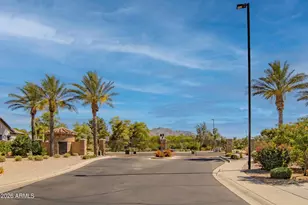 4167 E Dubois Ave, Gilbert, AZ 85298 - Photo 86